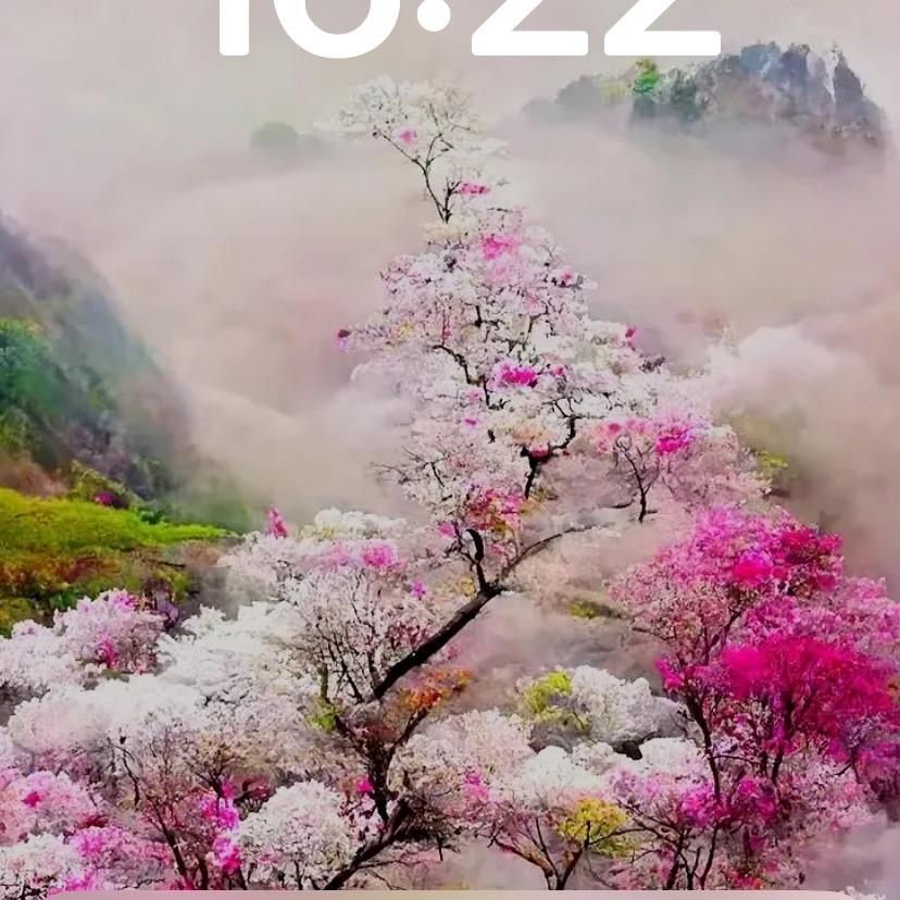 🤑🤑小鹏🤑🤑