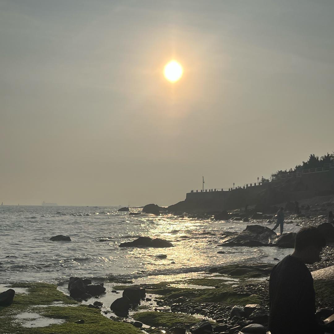 油菜籽熟了❤️❤️❤️