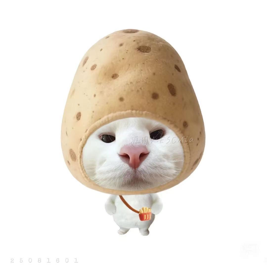 QQ飞车