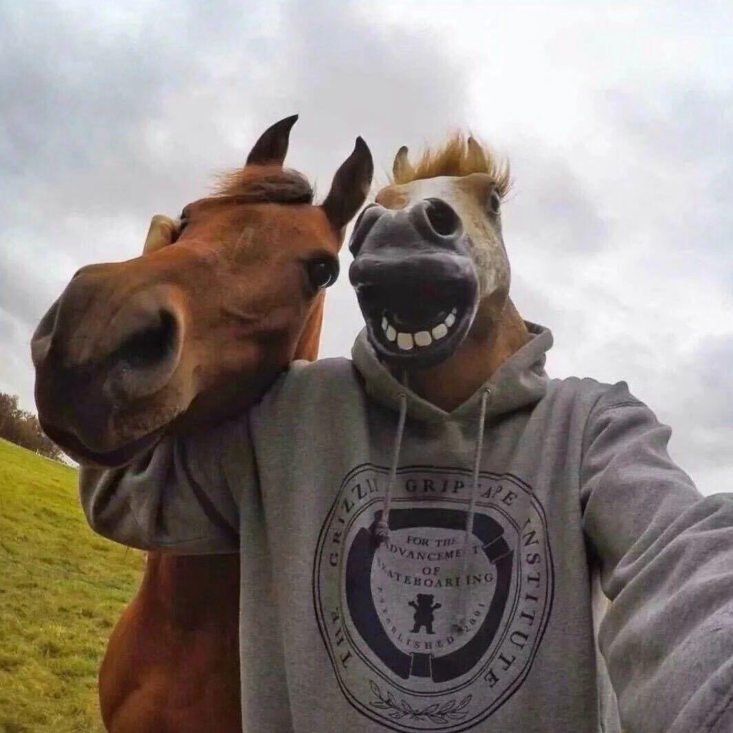 yolo