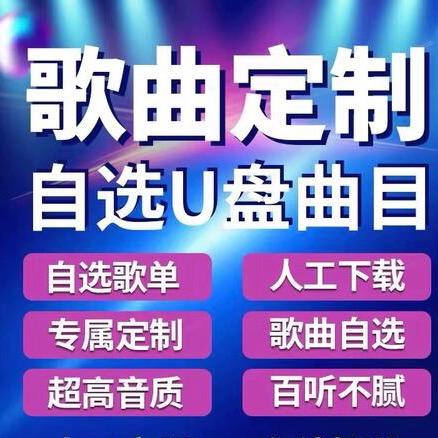 音乐优盘定制（可自选歌曲）
