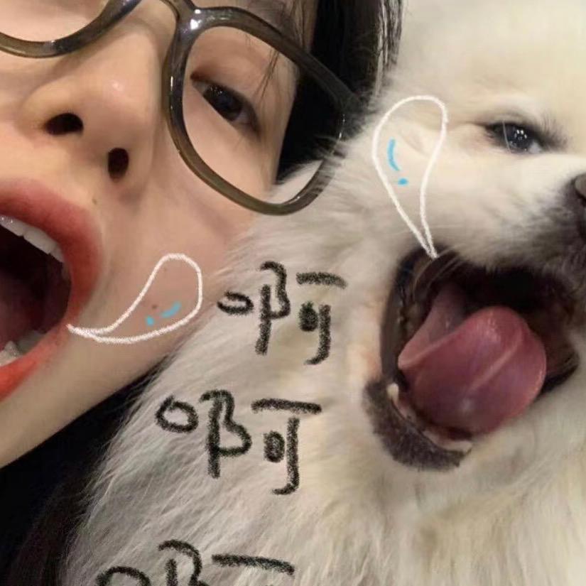 日记小姐