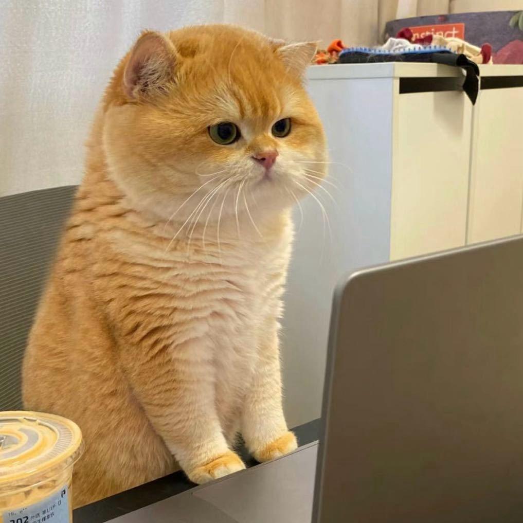 晚秋（三角洲寻宝版）