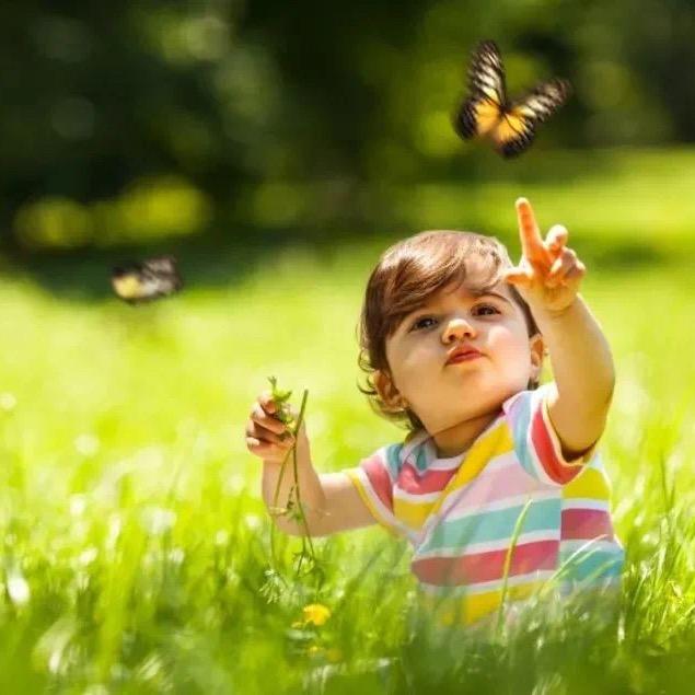 正刚-教育不是空话