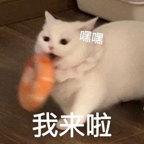 就叫兔子（美食分享）