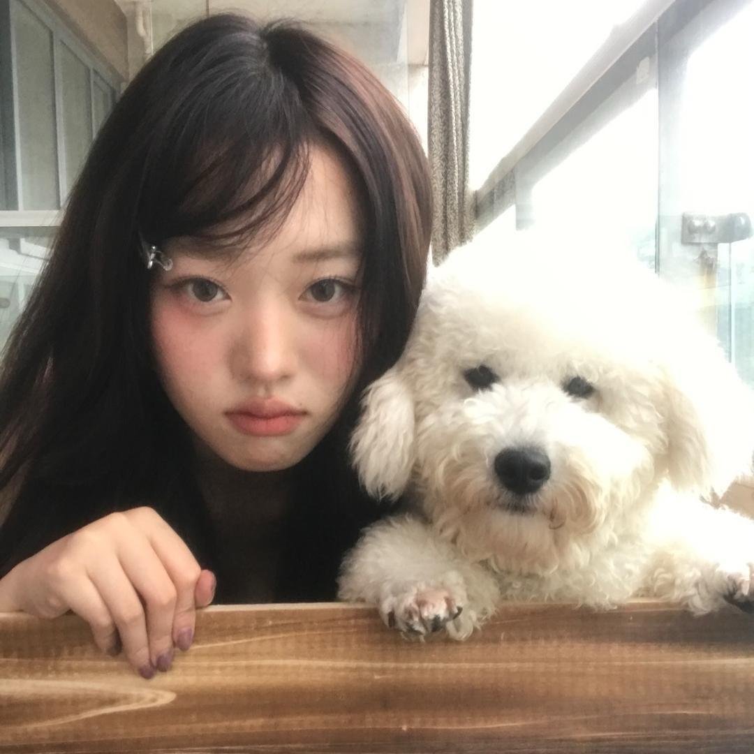 呆车.