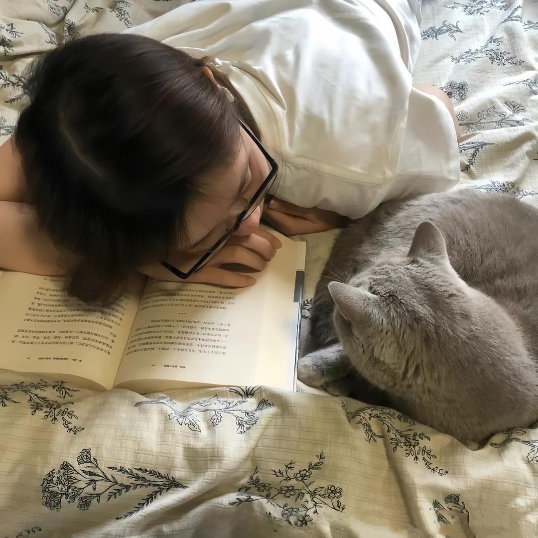纯纯鱼冻