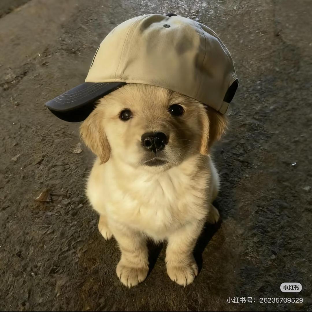 每天三块