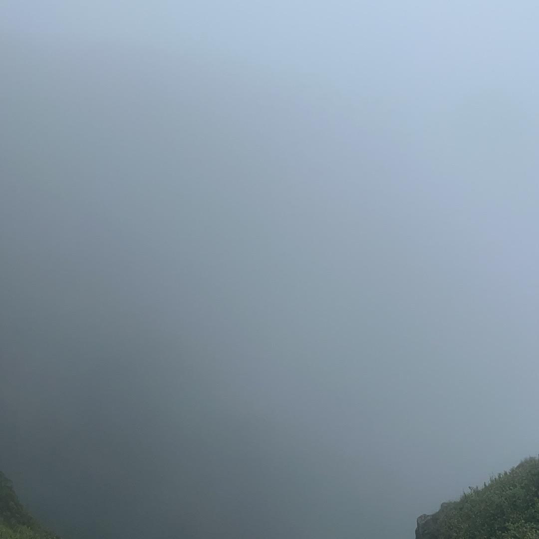 小燕子