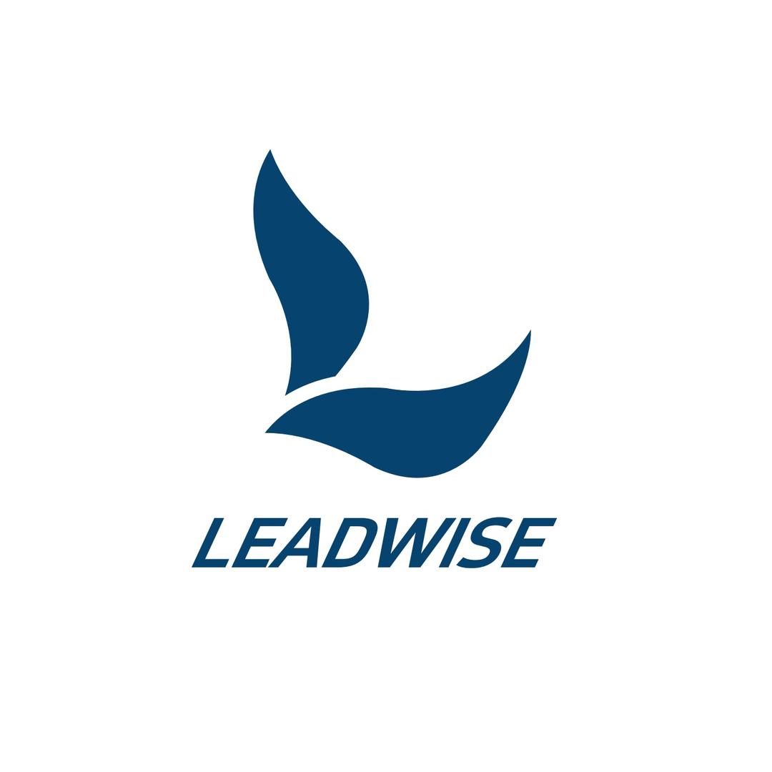 Leadwise匹克球