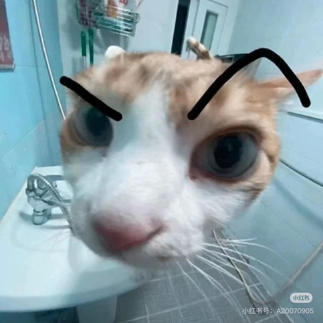 小狗（求推荐版