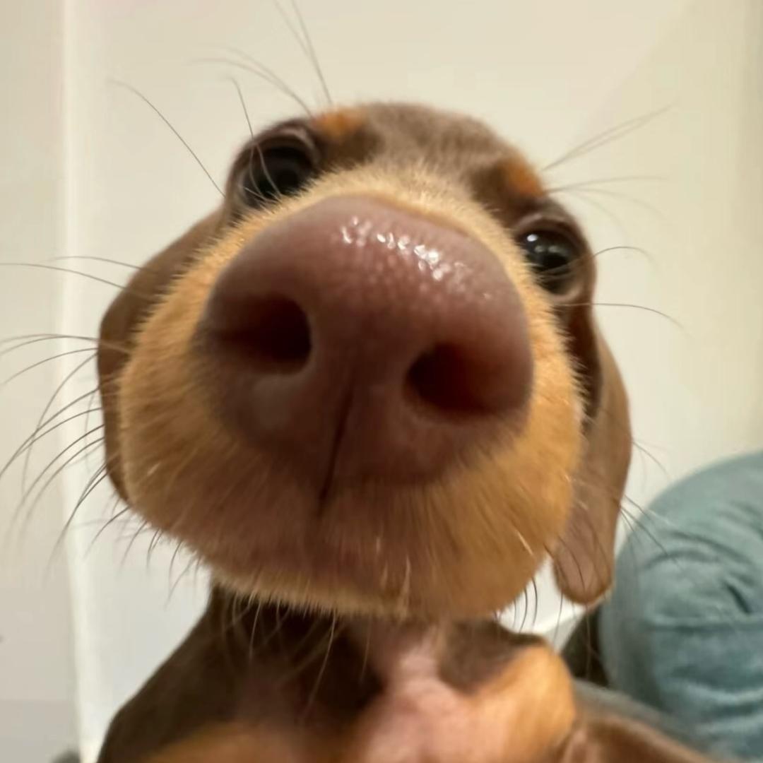 我就是有病让让我咋了