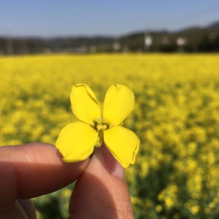 姜姜好……请好好爱自己