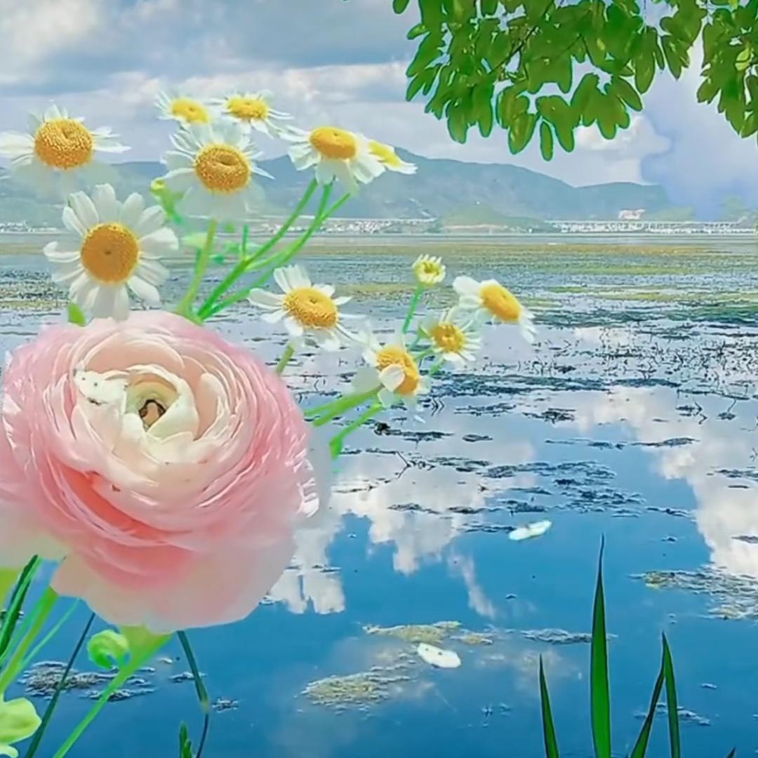 流苏