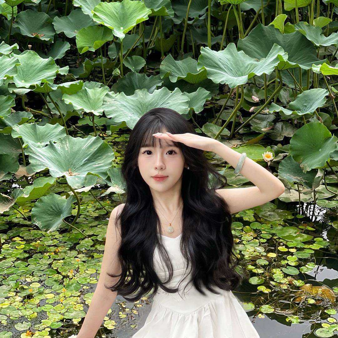 火锅美羊羊🐻