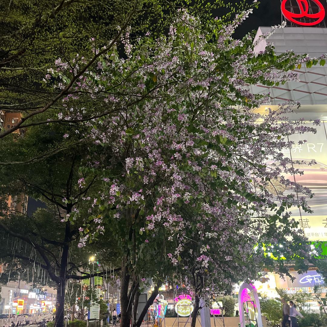 潘先森佑民