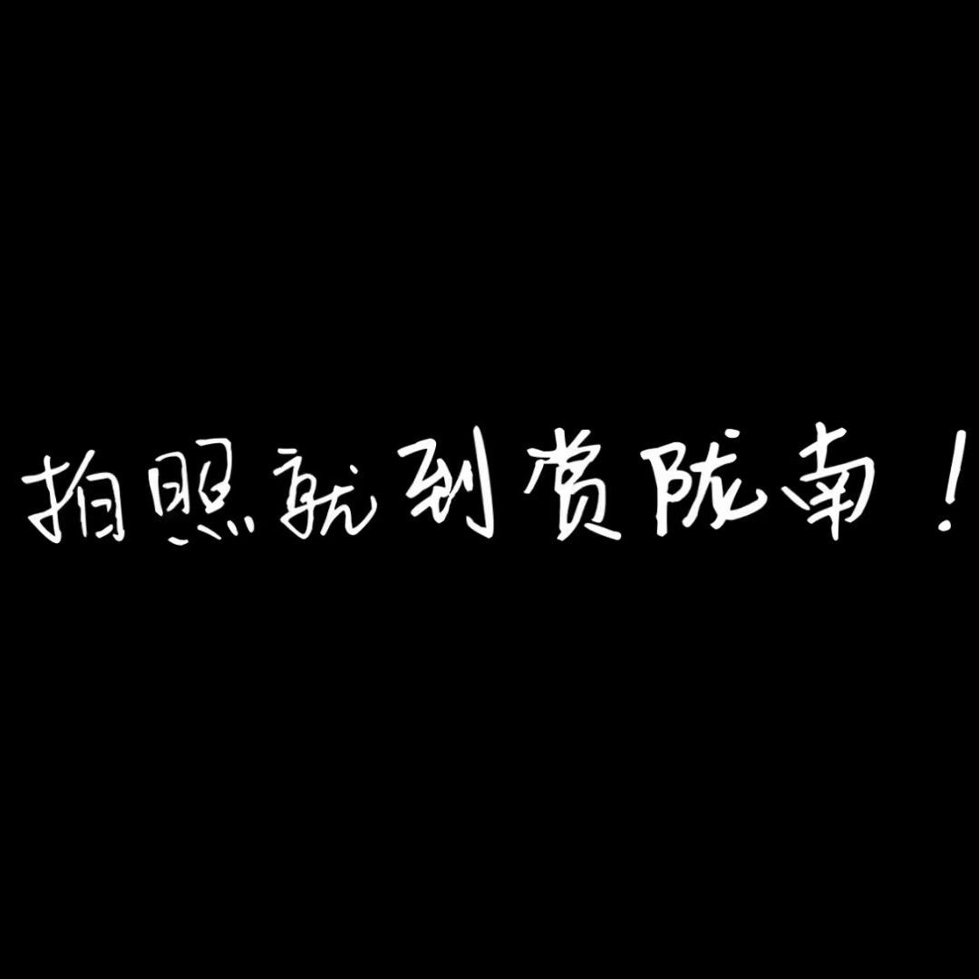 赏陇南·婚纱|影像日记
