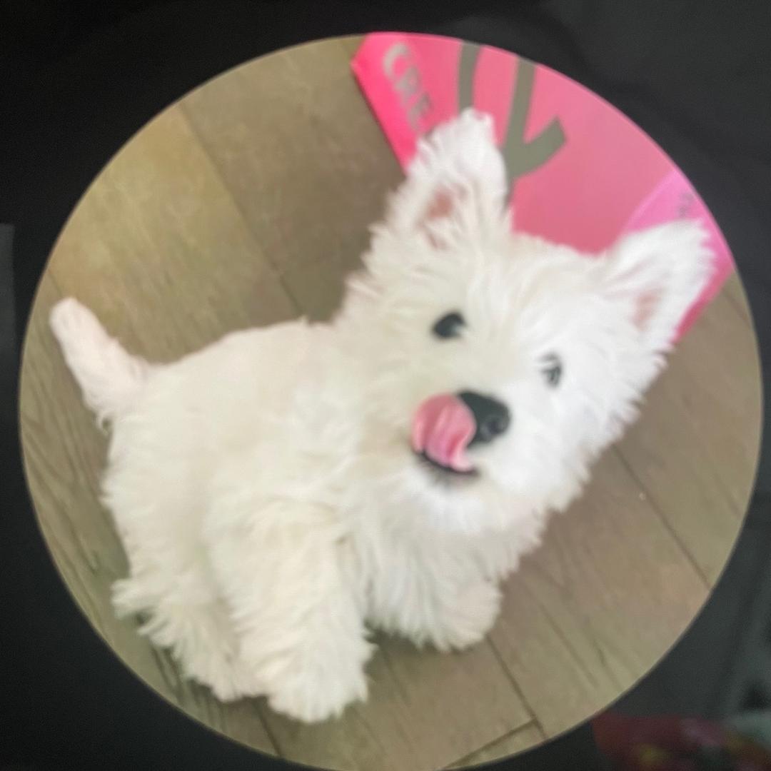 葡萄大人👩