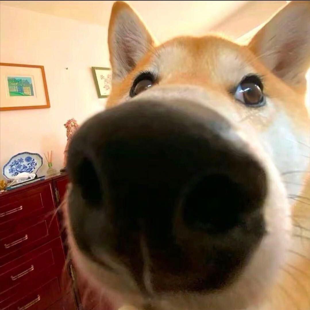 你好