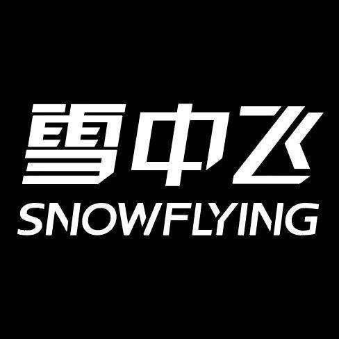 雪中飞靓欧羽绒服专卖店服饰