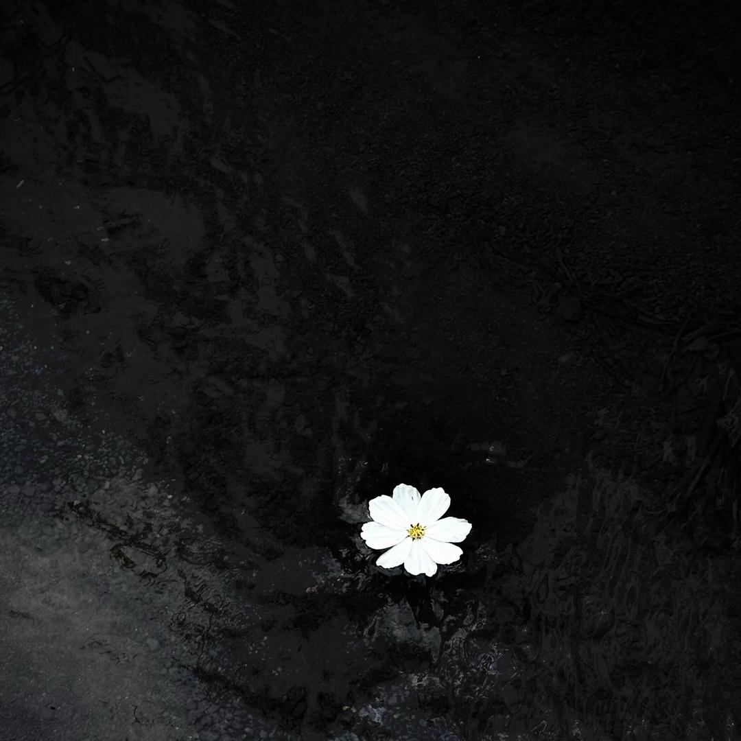2016.2.19