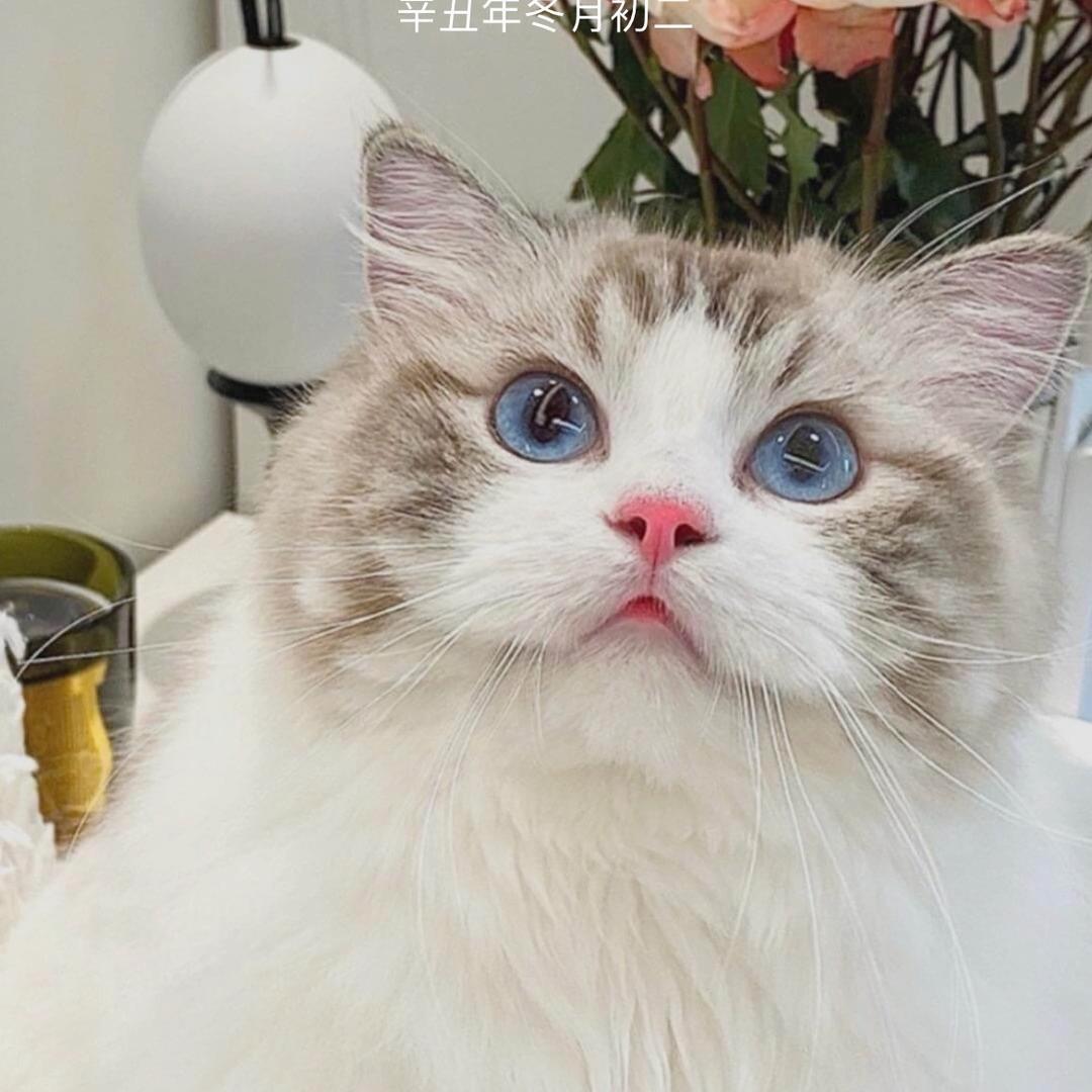 77777777