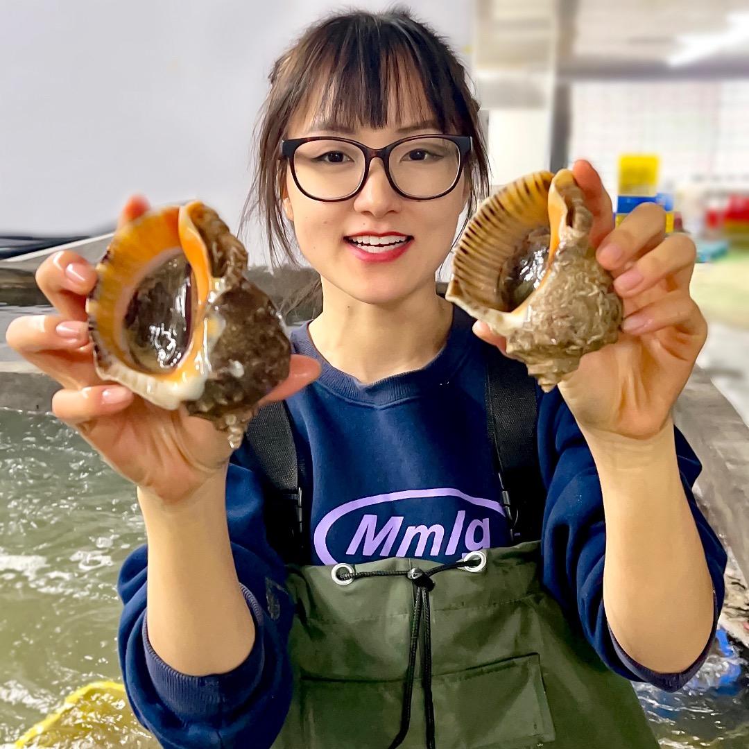 海图腾海鲜