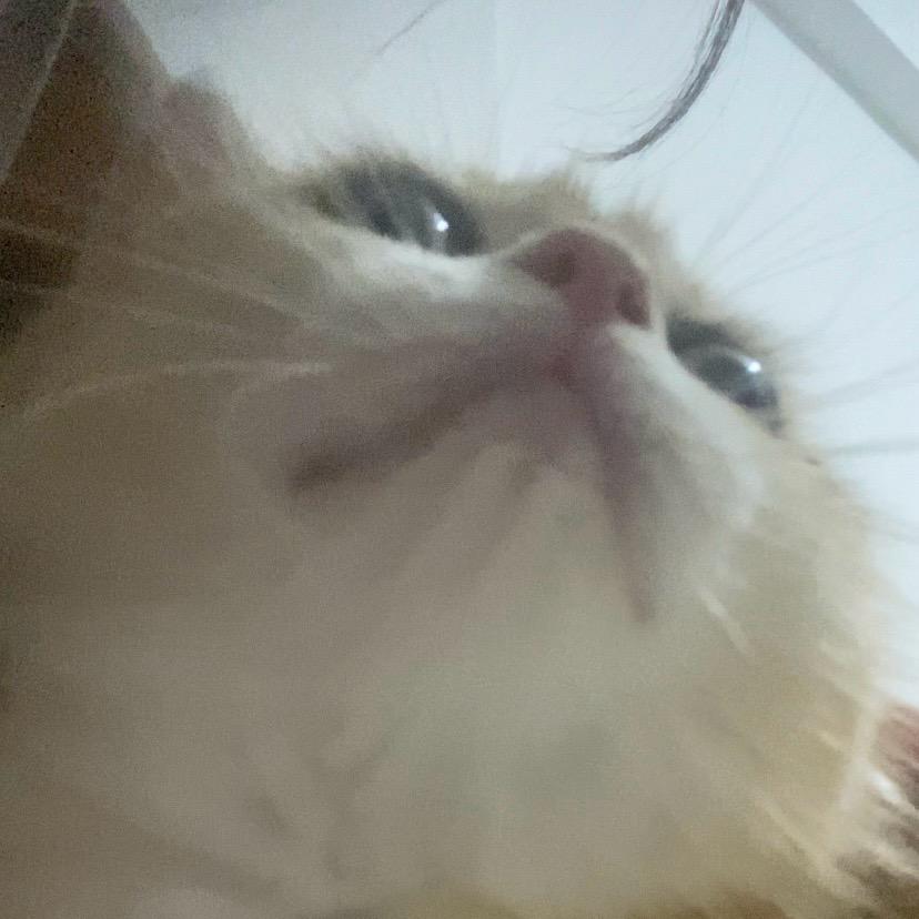 反emo战士🥷🏻