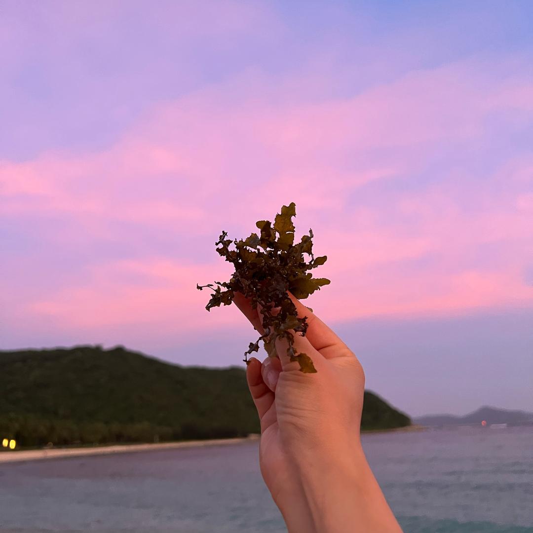 彦彦
