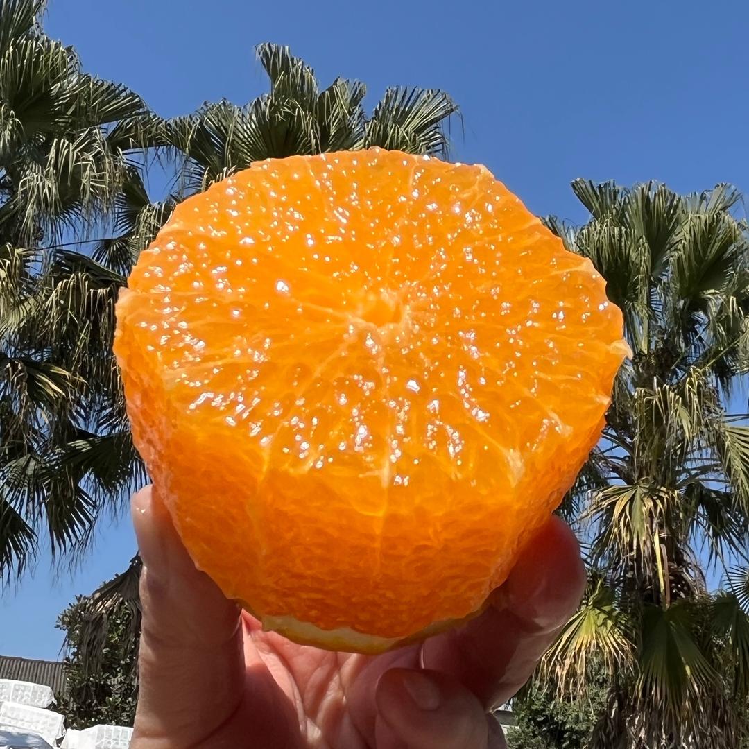 溪流勇进水果供应链