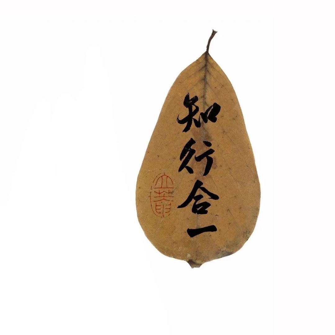 欣河
