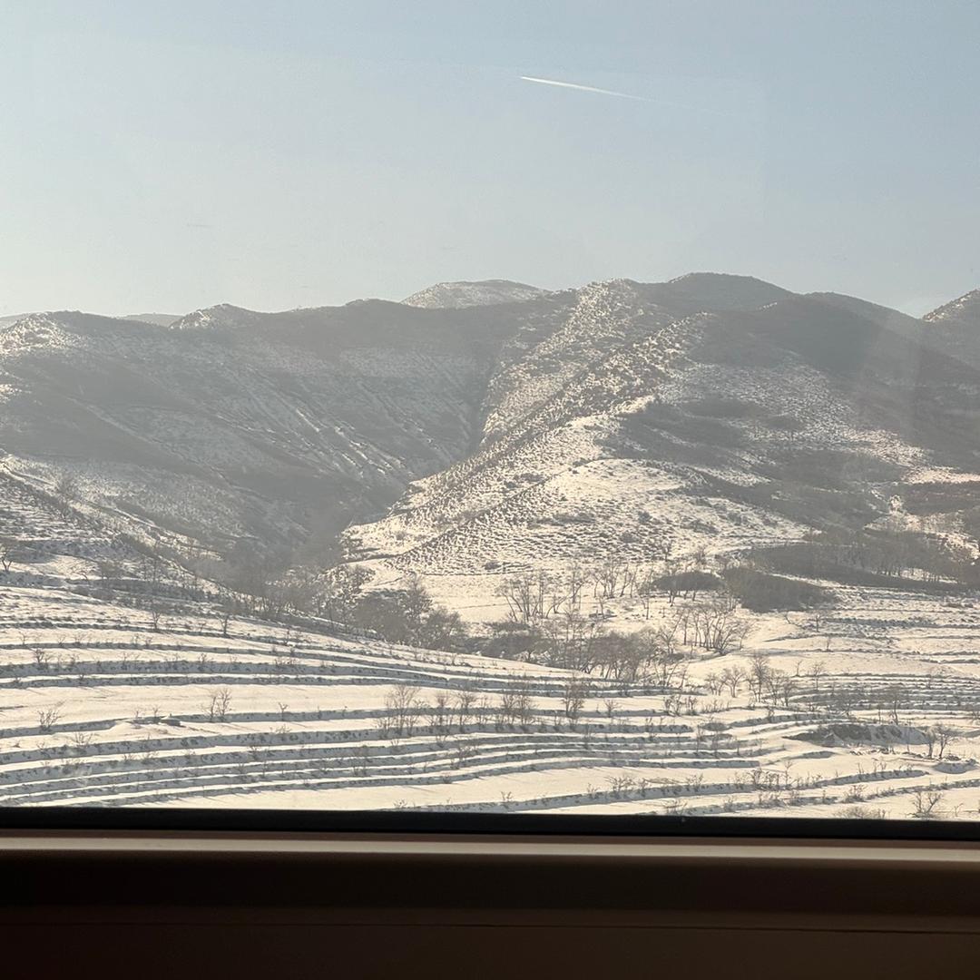 爱吃盒饭的语文老师