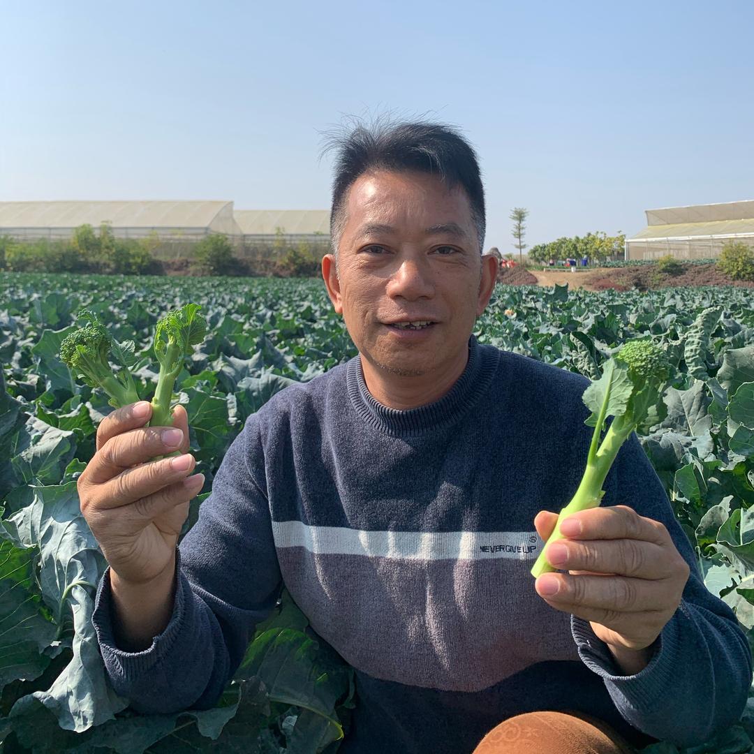 荔浦市俏妮妮合作社：果蔬种植、收购