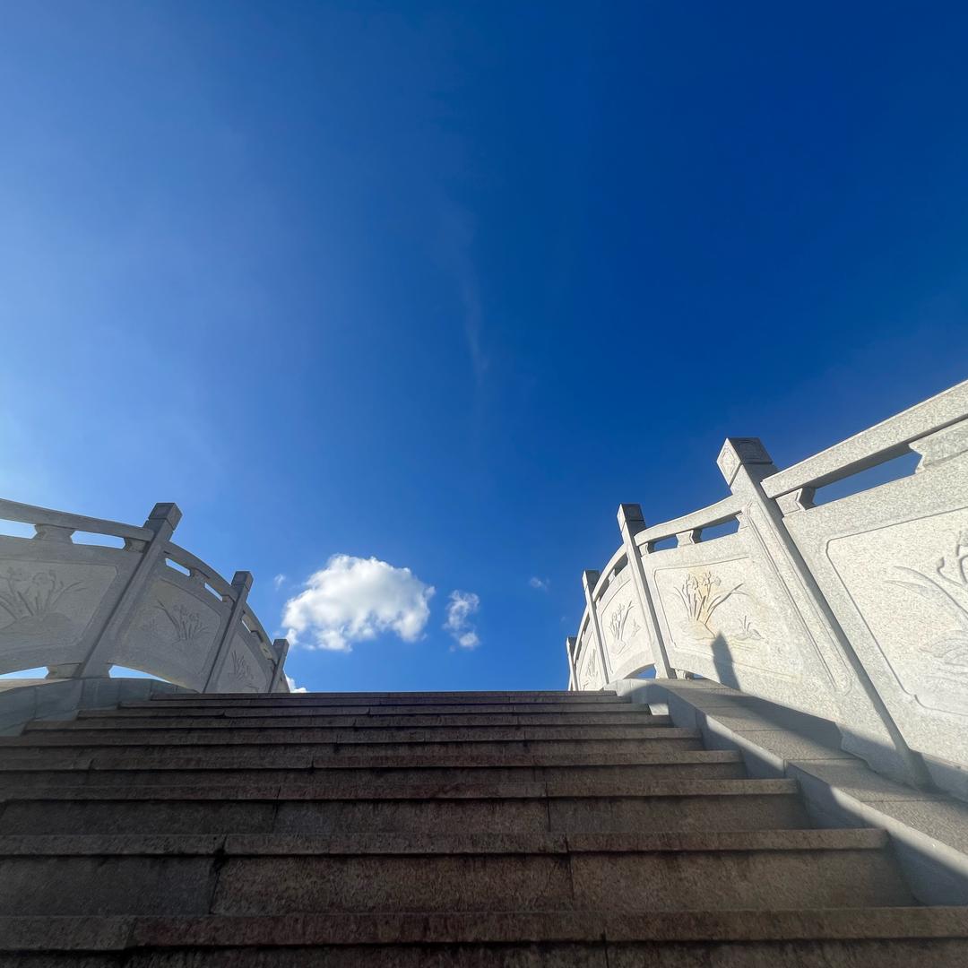草原青青