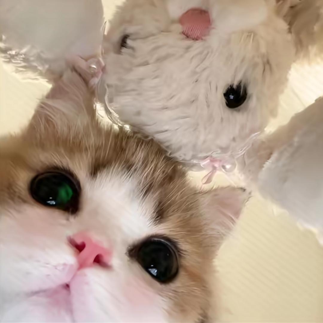 瑜^