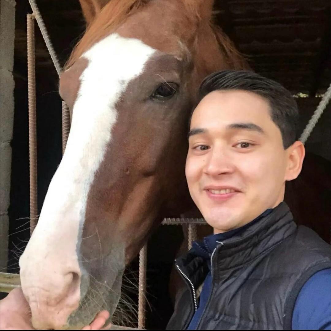 @Haster🧿 养马人🫀🐎