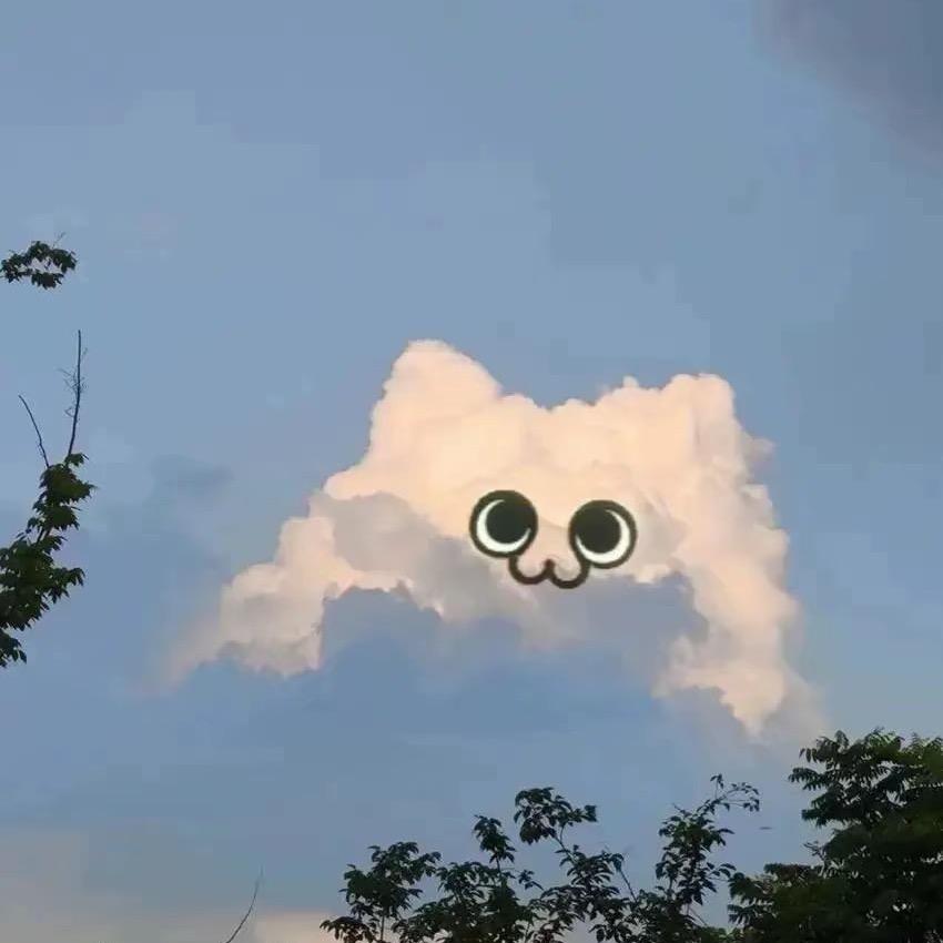 呆酱（喵）