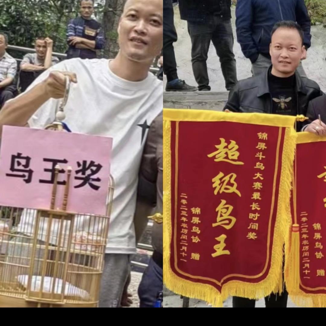 德福先生鸟食