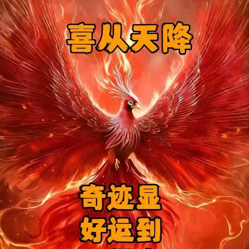 天启财商