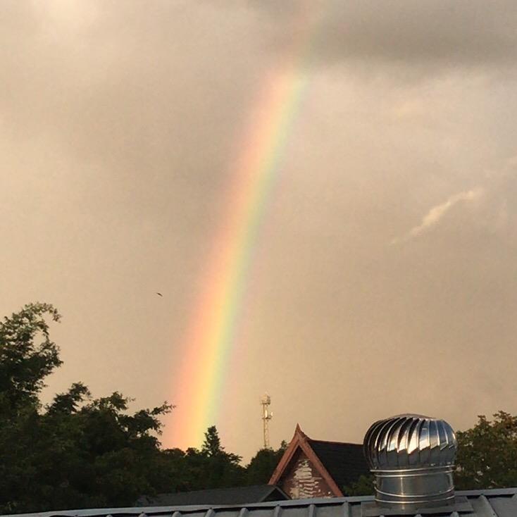 彩云之南🍵中滇茶叶