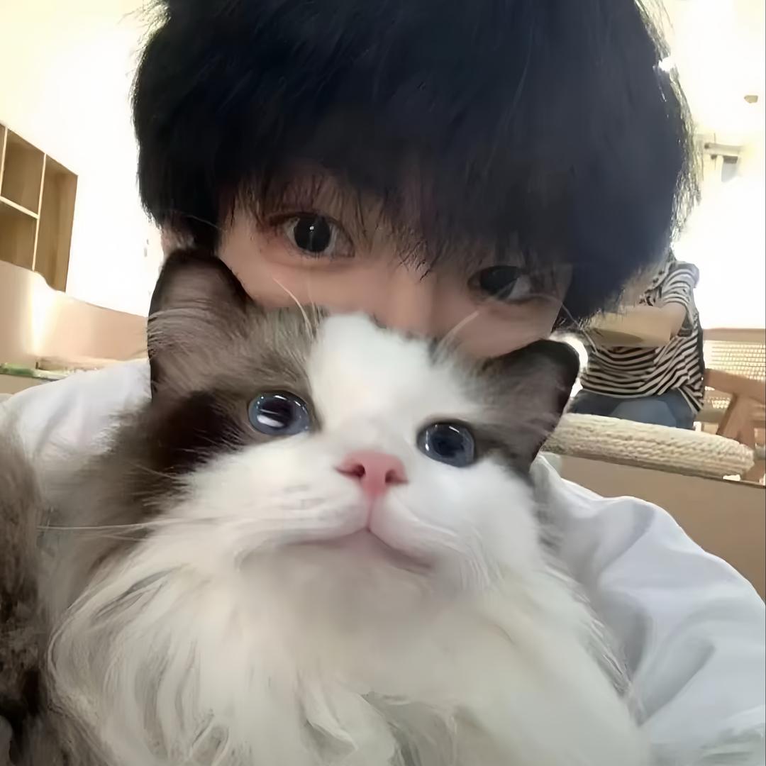椰椰