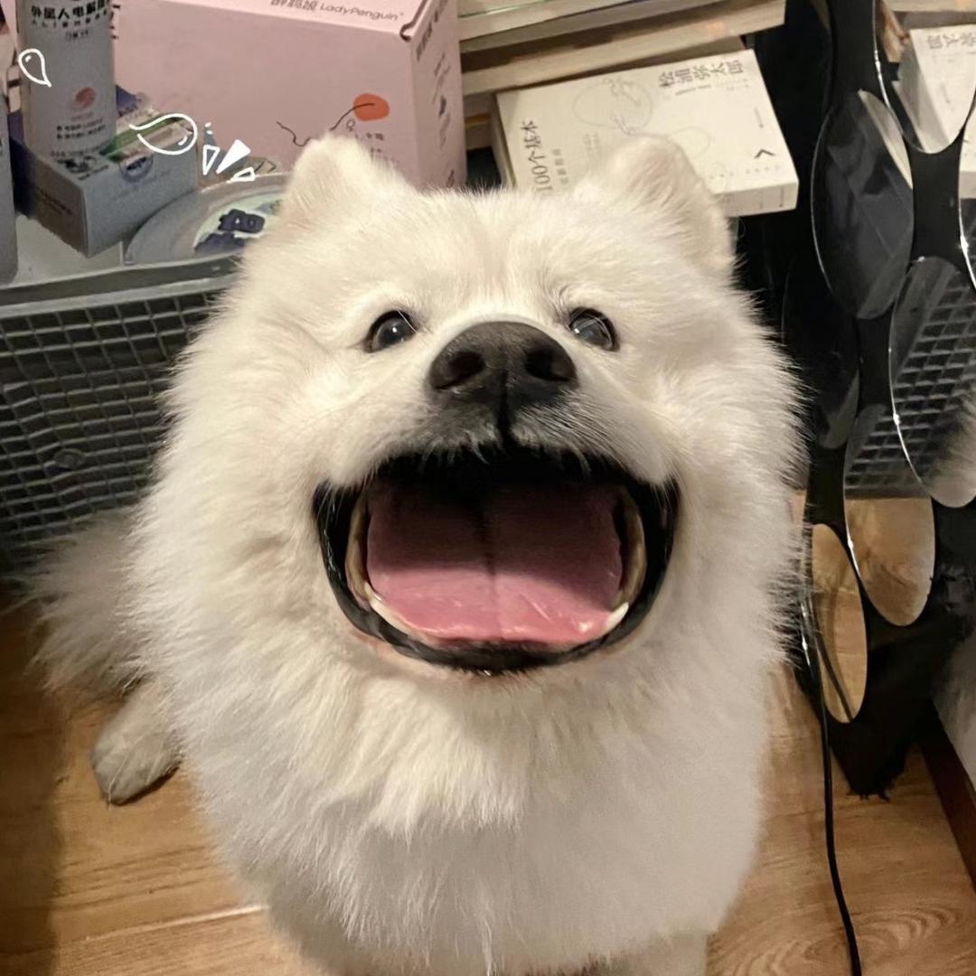okk头像