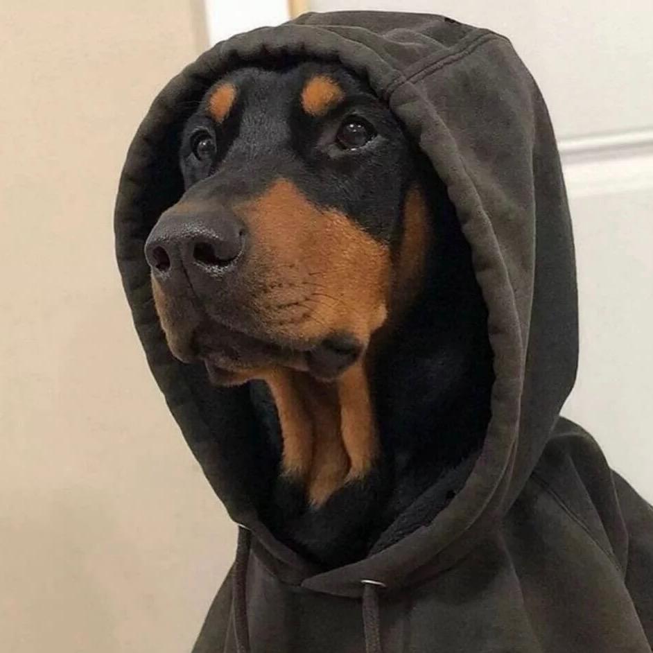 南笙