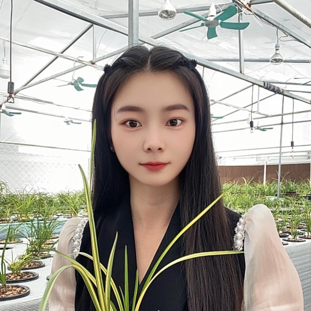 兰花开放（芳芳）