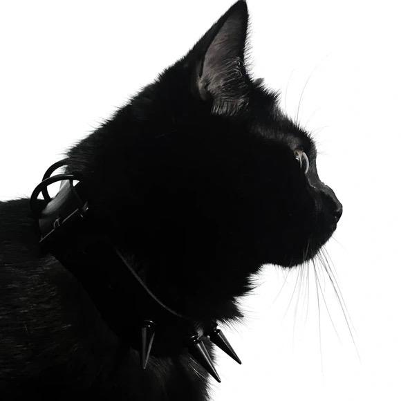 杀手也怕冷暴力