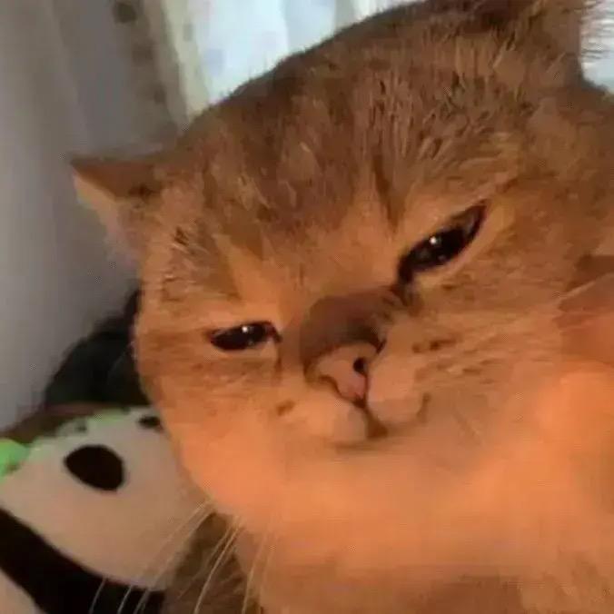 赤沟👀