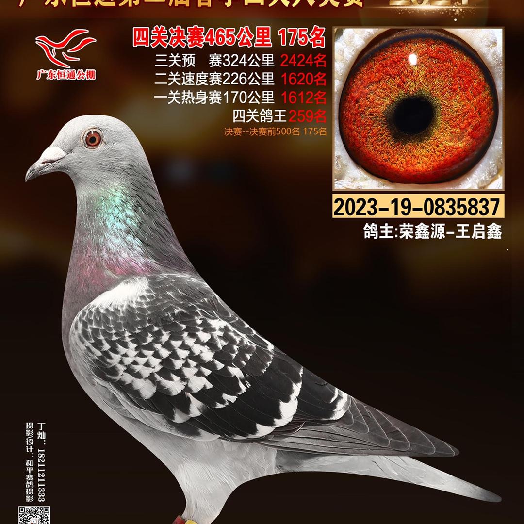 荣鑫源