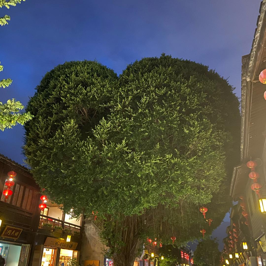 无聊的梦想家