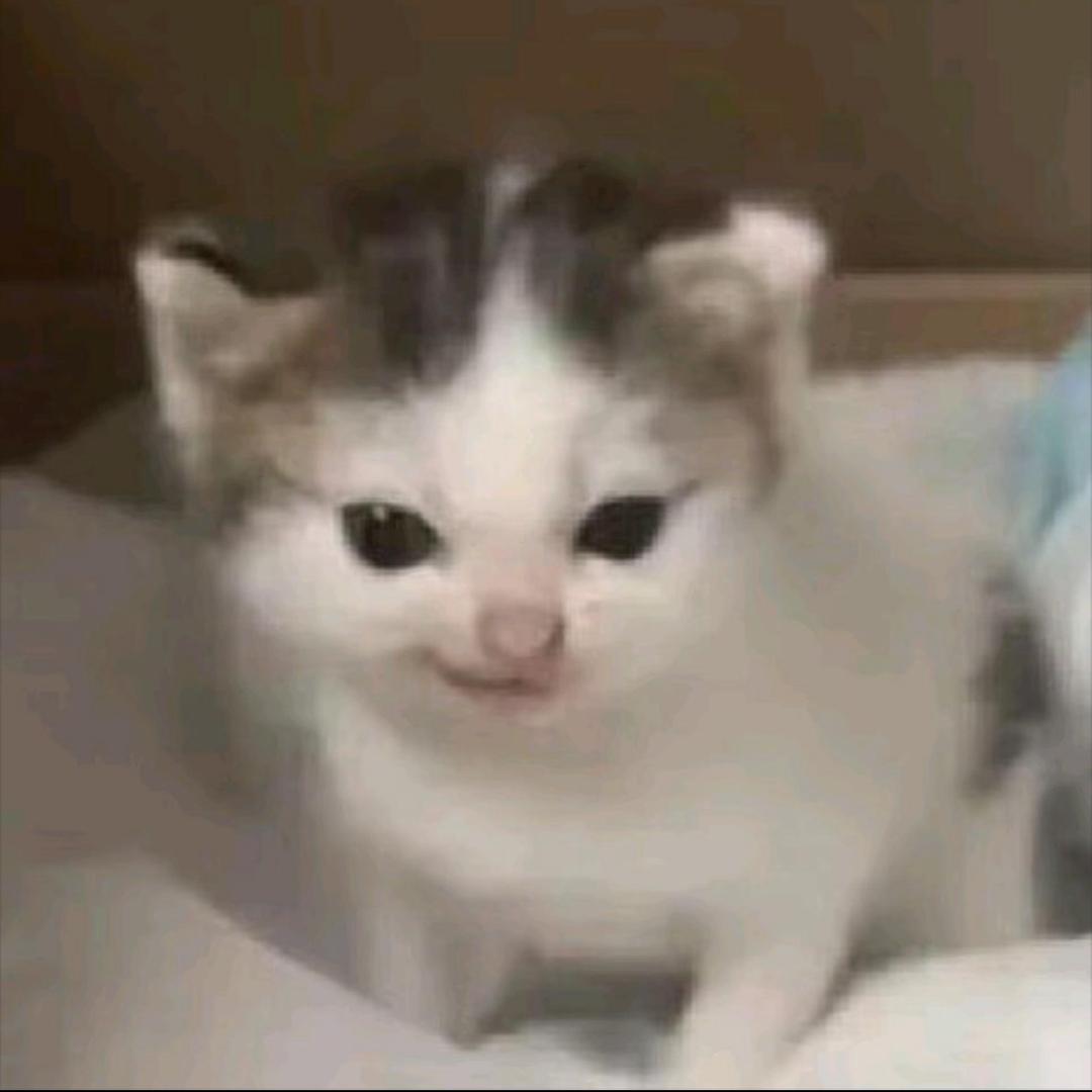 涛