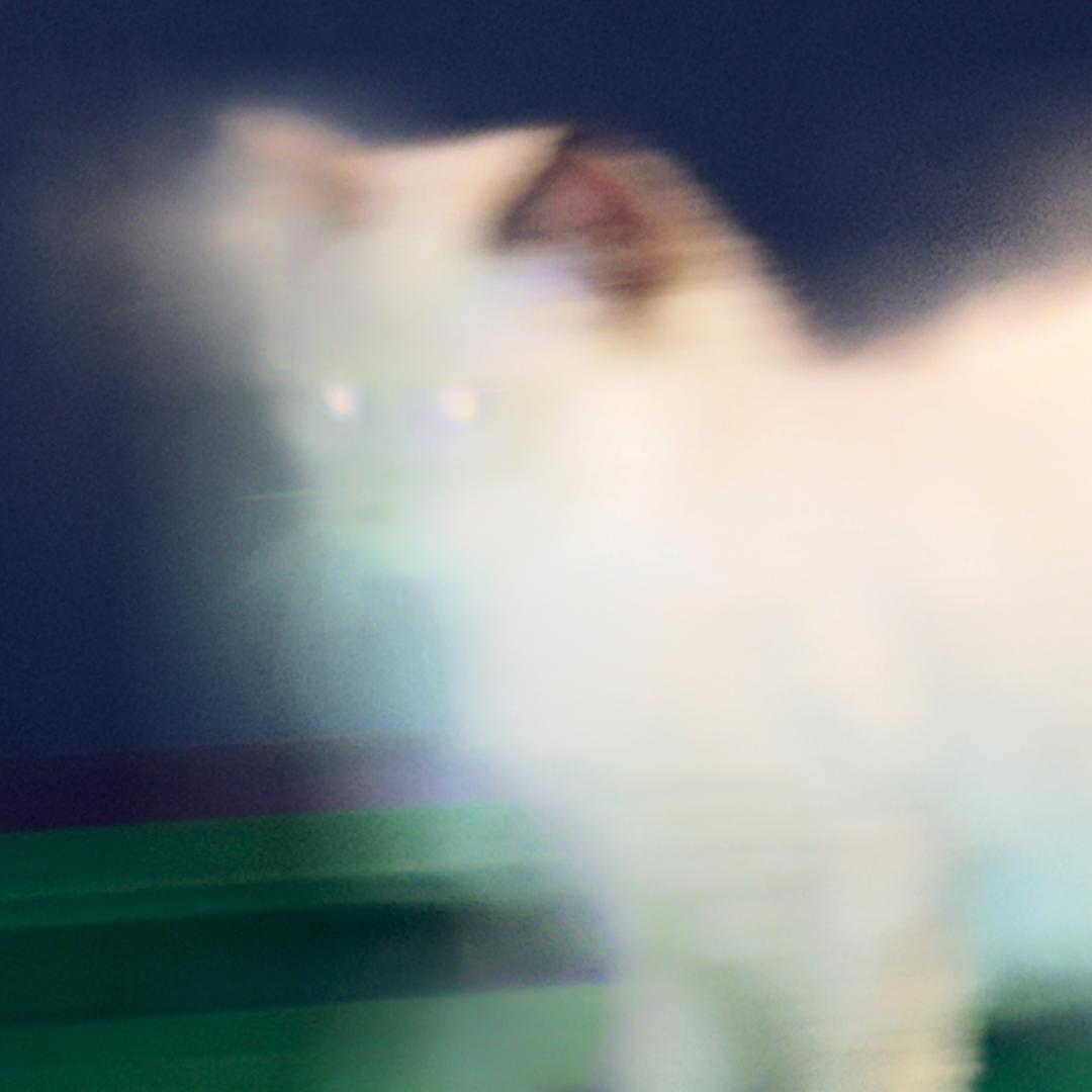 秋千